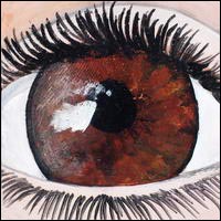 A / Leaf / Canada / Canadian / eh