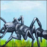 Ant