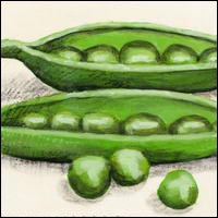 A / Leaf / Canada / Canadian / eh